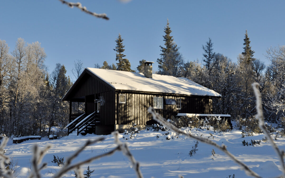 LEDIG/ Hytte 5: Venåsbu
