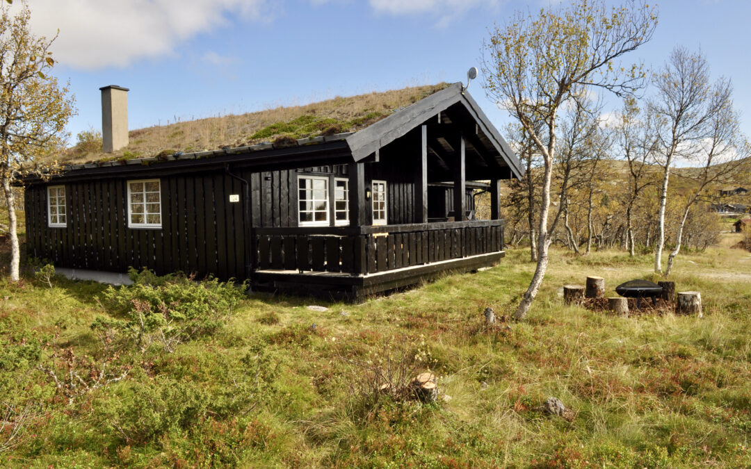 Cabin 2: Gråhøgda