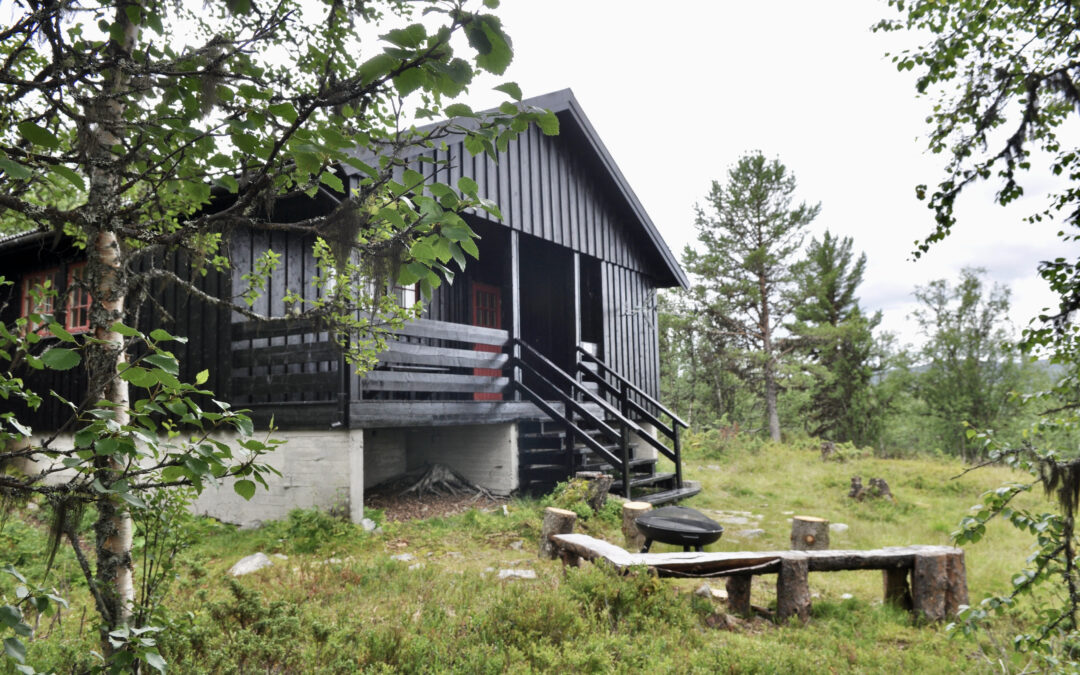 Cabin 5: Venåsbu