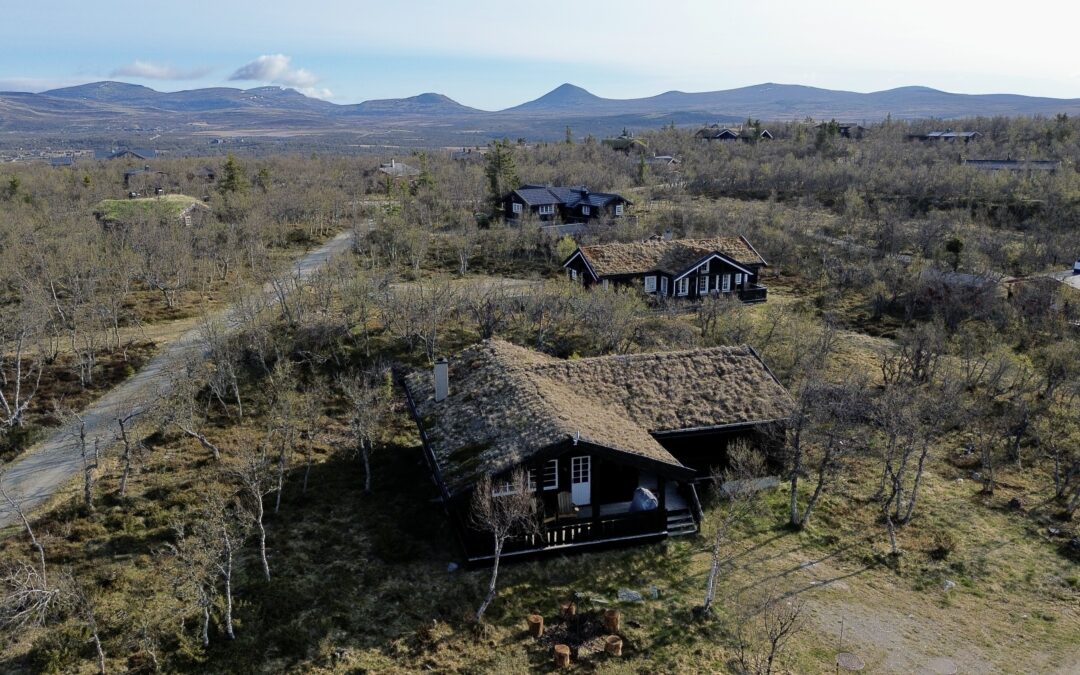 Hytte 2: Gråhøgda
